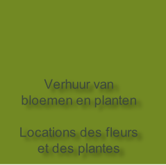 Verhuur van bloemen en planten

Locations des fleurs et des plantes